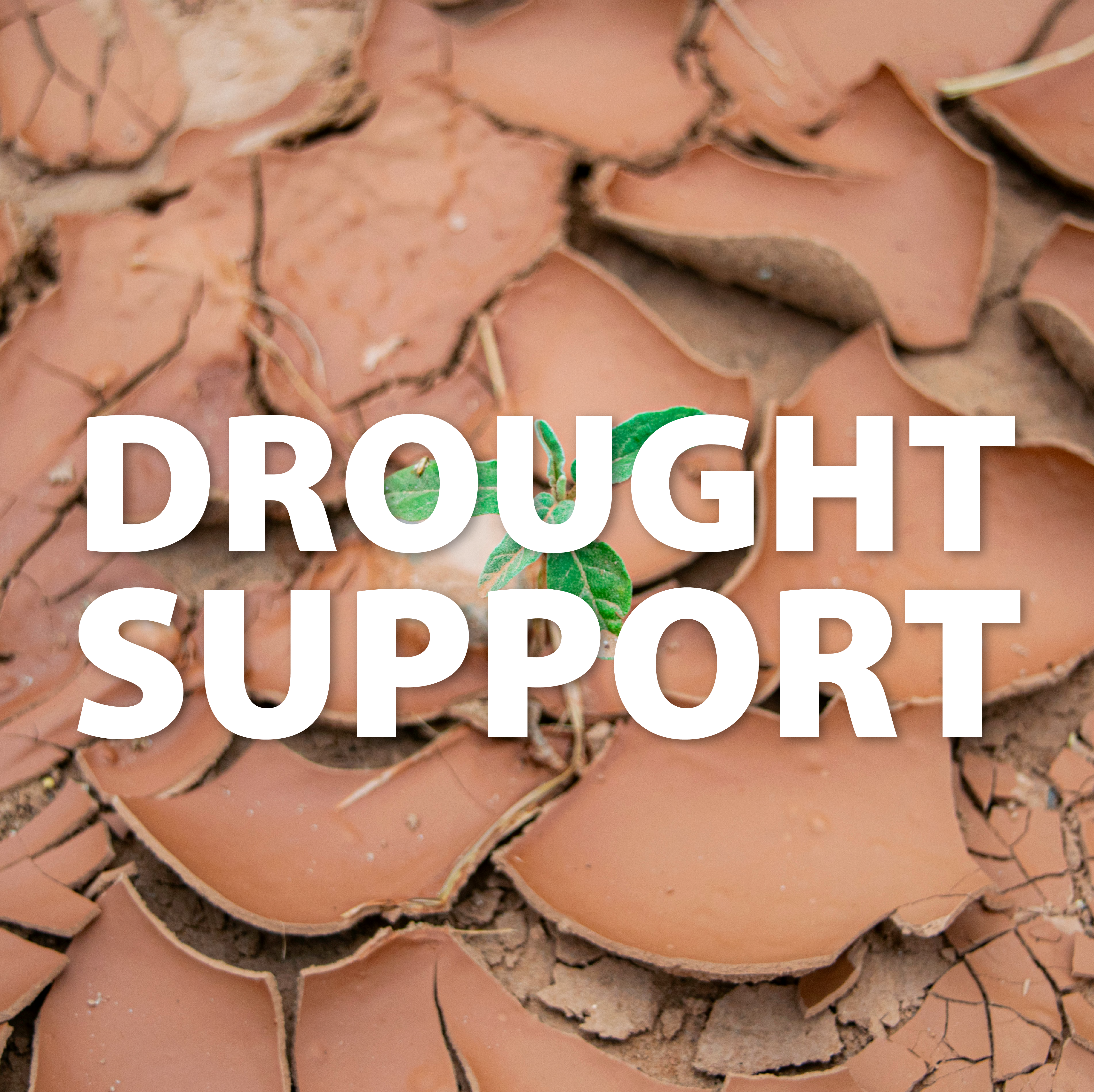 Drought Support