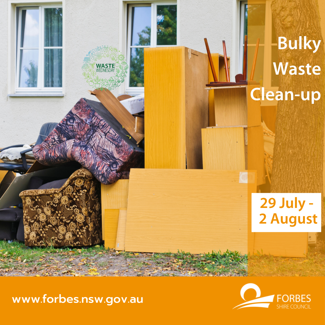 Bulky Waste Clean Up