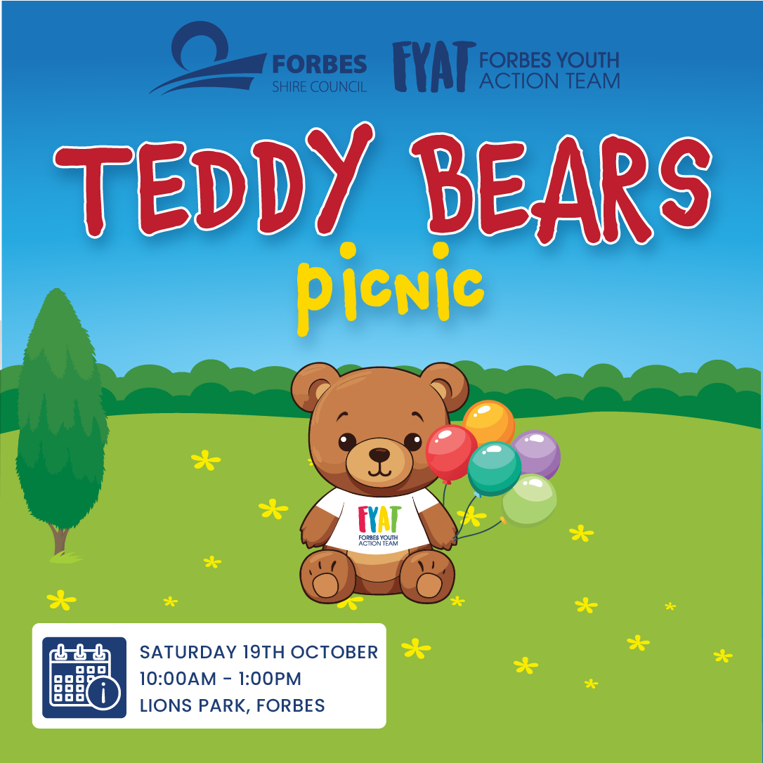 Teddy Bears Picnic