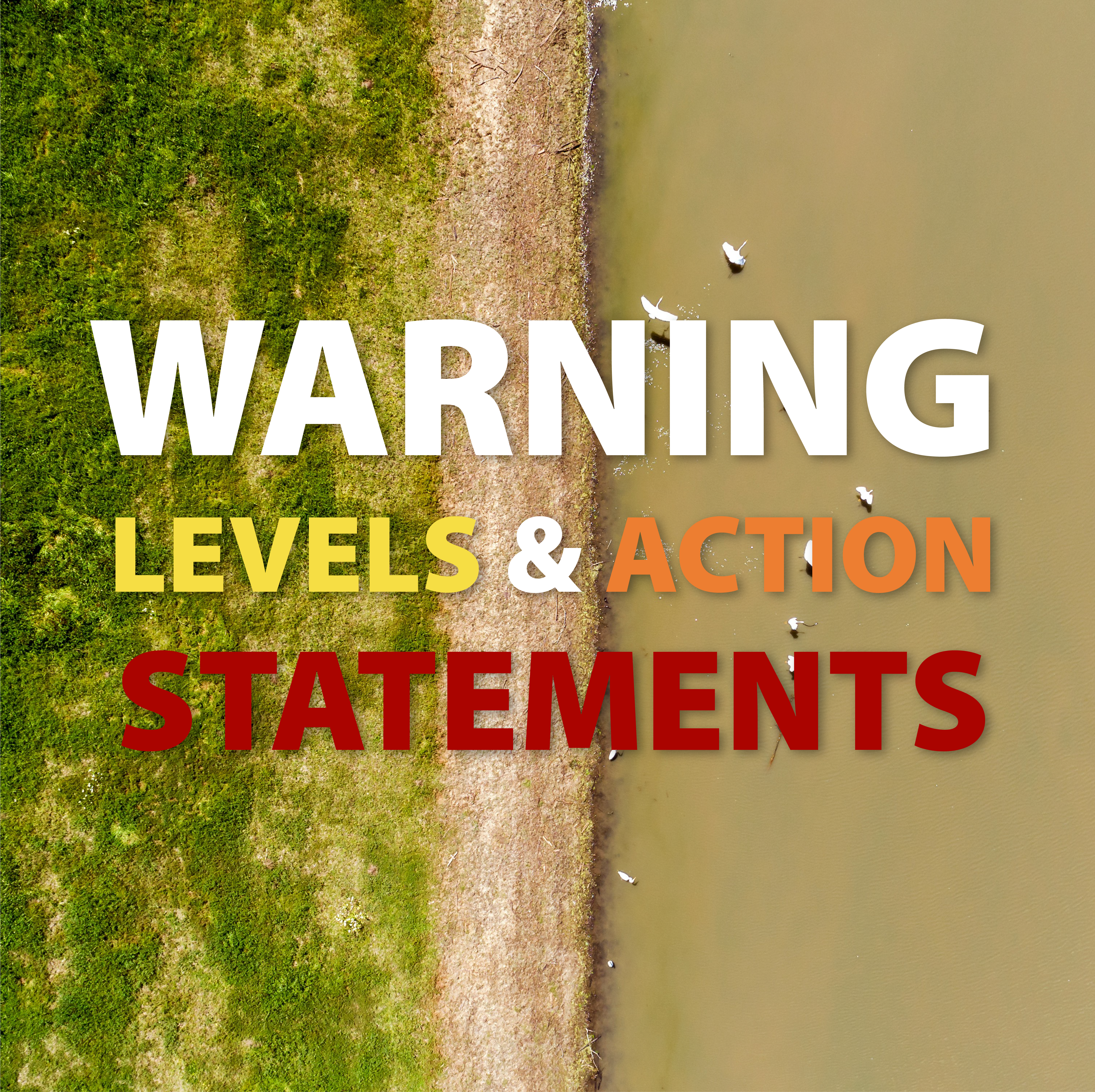 Warning Levels and Action Statements